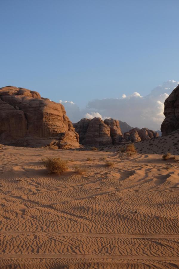 Wadirum Momoo Ram Vadisi Dış mekan fotoğraf
