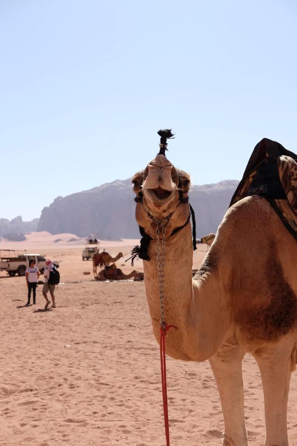 Wadirum Momoo Ram Vadisi Dış mekan fotoğraf